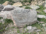 Скальник сланец